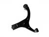 Brazo de suspensión Control Arm:54501-1E000