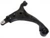 Brazo de suspensión Control Arm:54500-2G100